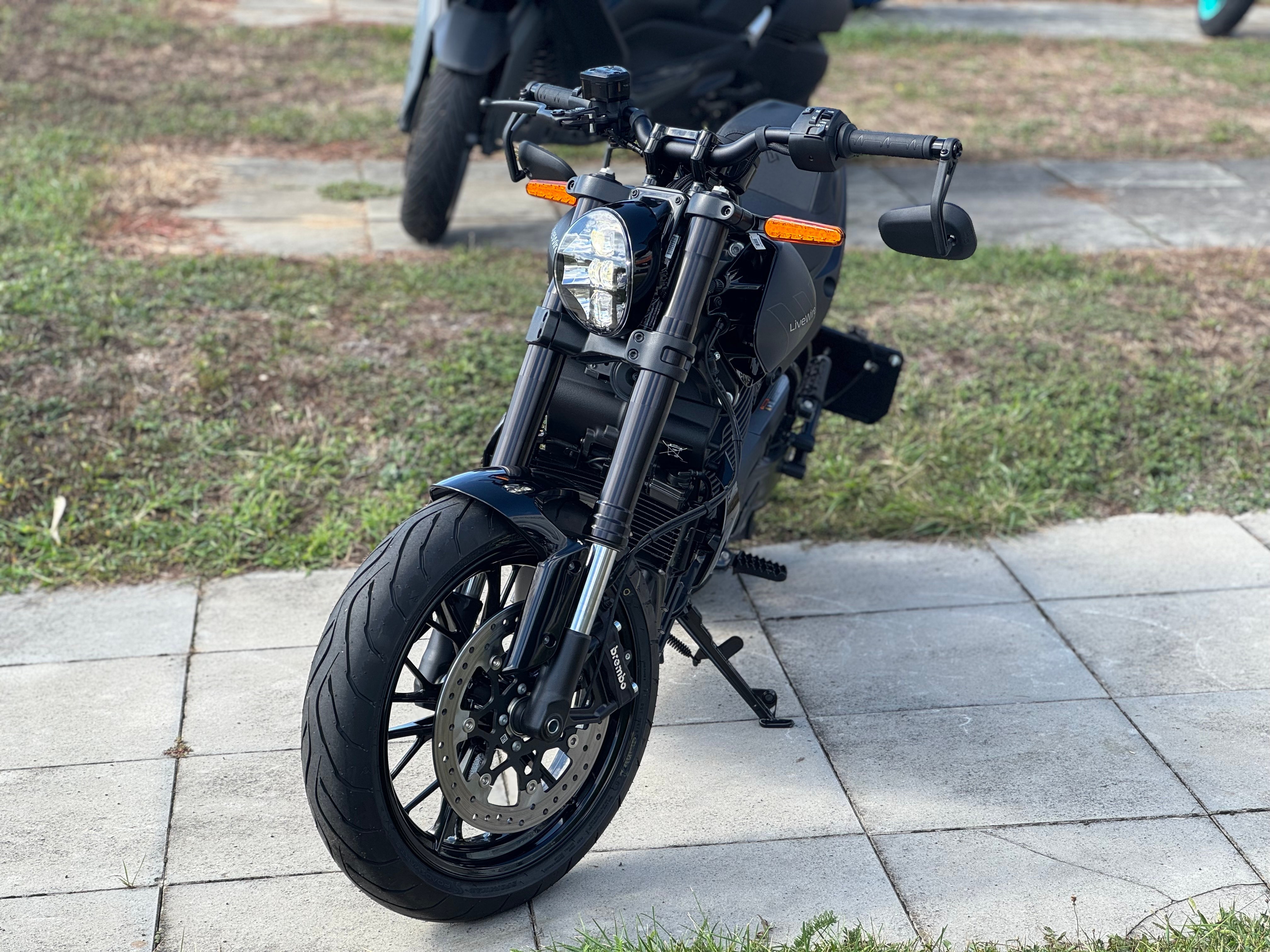 LIVEWIRE Alpinista For sale