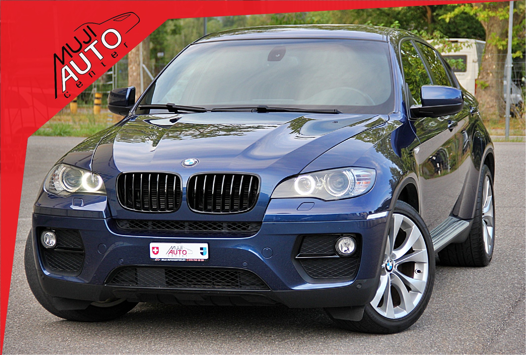 BMW X6 xDrive 30d Steptronic (SUV / Gelndewagen)