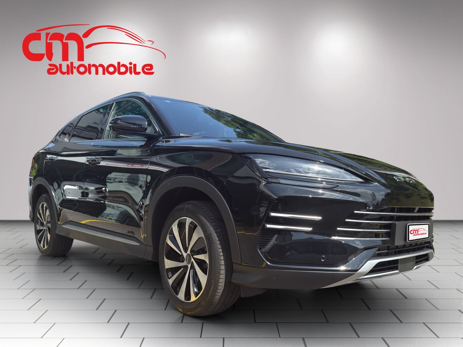 BYD Seal U DM-i Comfort-showroom-element-3