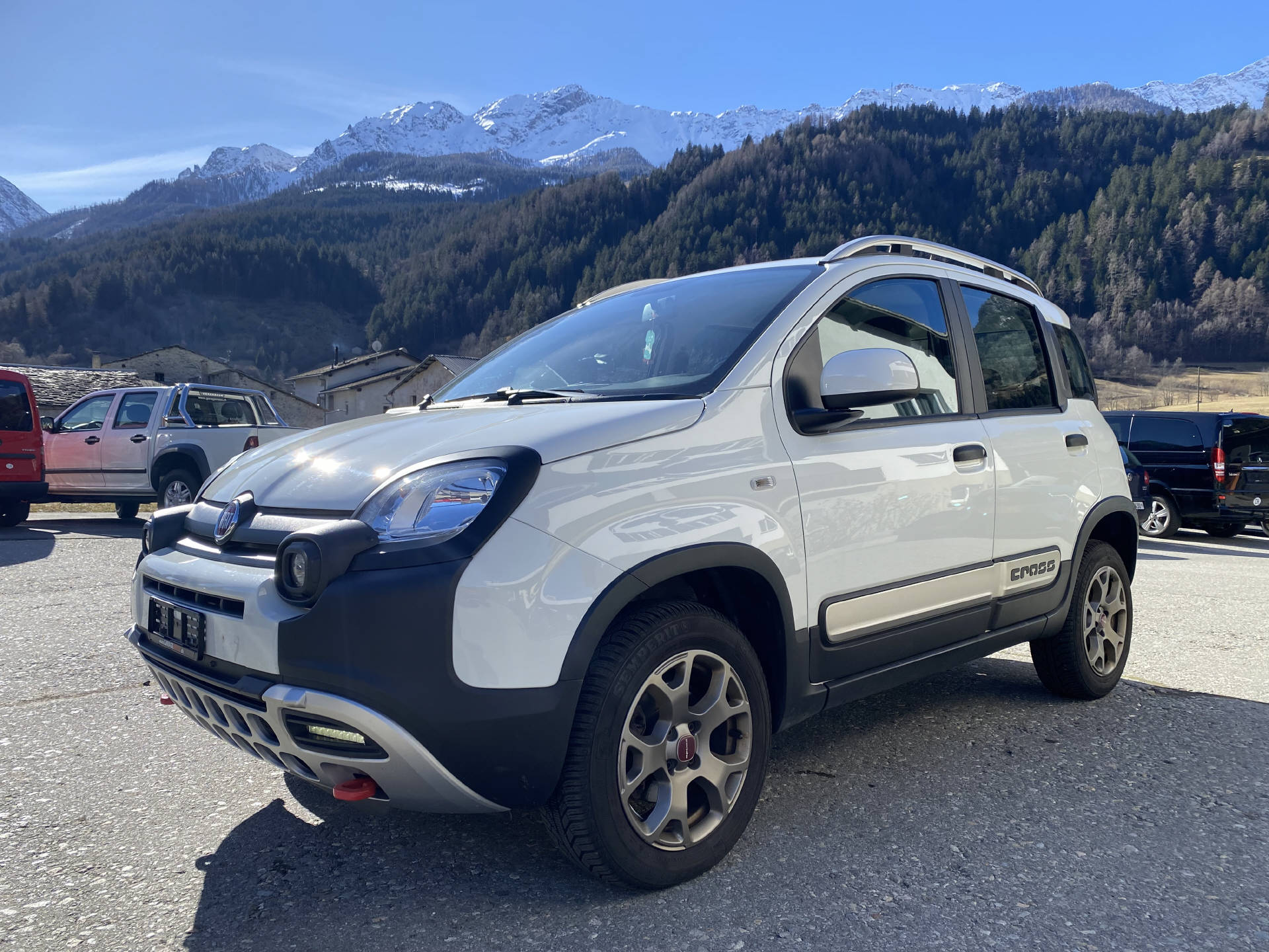 FIAT Panda 1.3 JTD Cross (Kleinwagen)