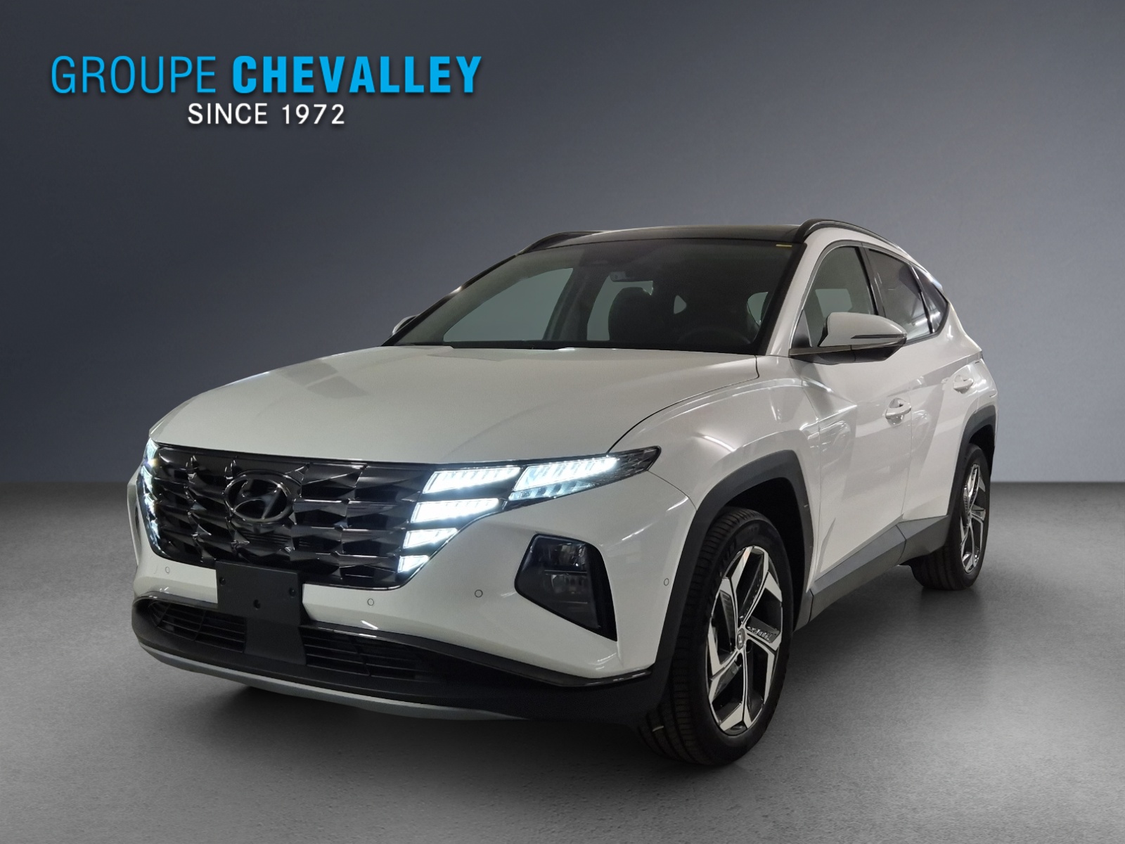 Photo HYUNDAI TUCSON Tucson 1.6 TGDI PHEV Vertex 4WD