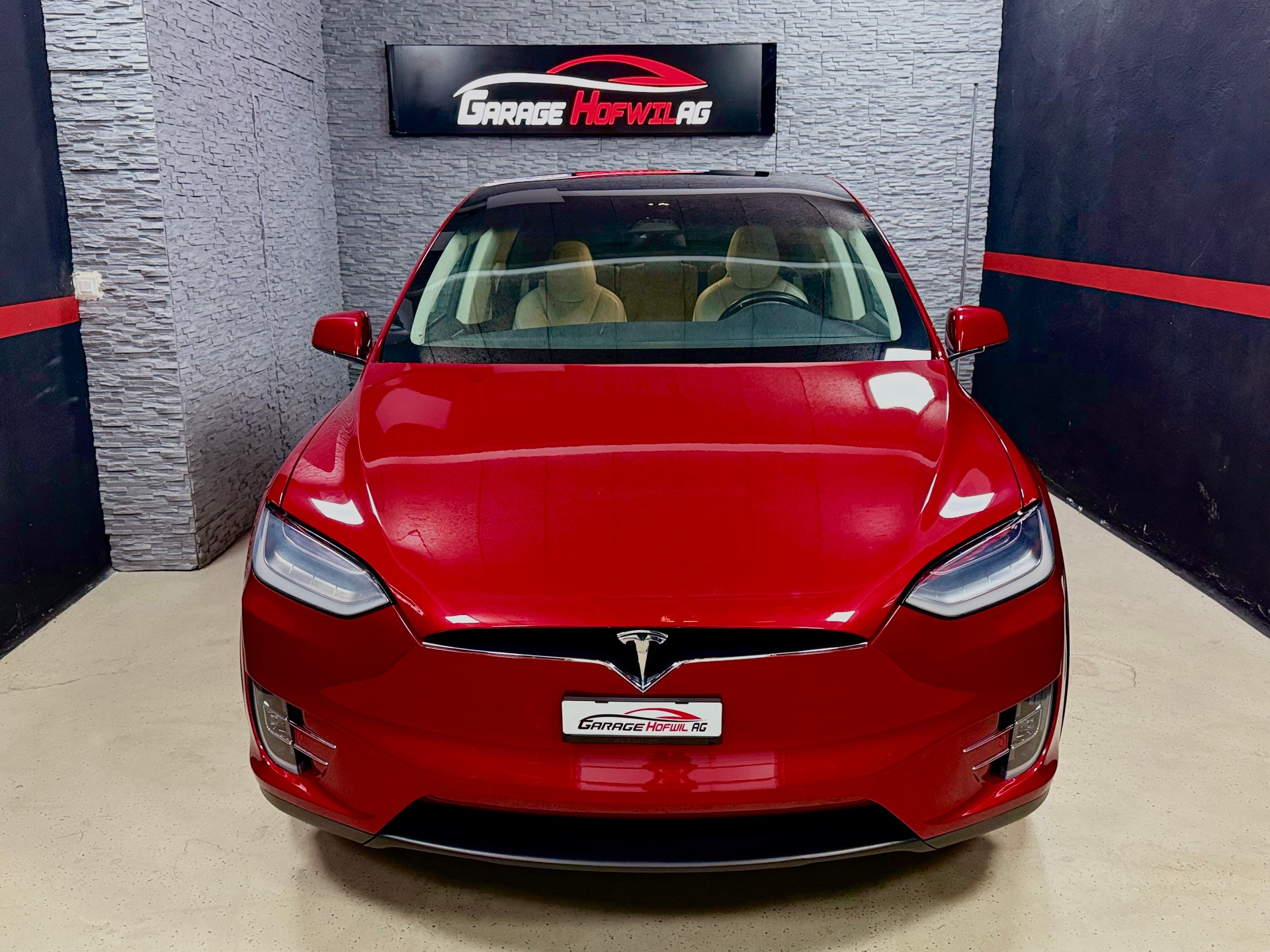 TESLA Model X 100 D-showroom-element-3