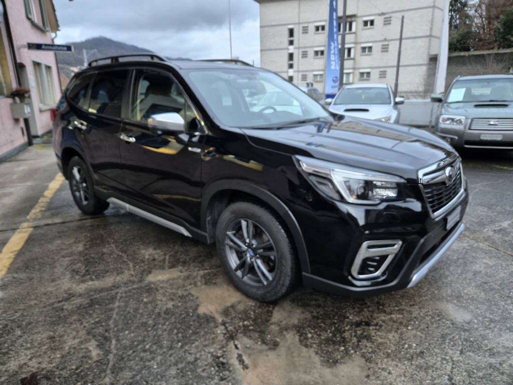 SUBARU Forester Station 2.0i (SUV / Geländewagen) Subaru SUBARU Forester Station 2.0i (SUV / Geländewagen)