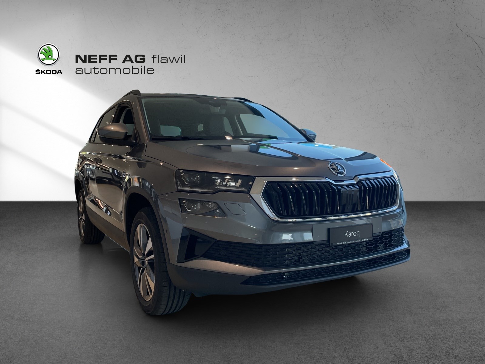 SKODA Karoq 1.5 (SUV / GelÃ¤ndewagen)