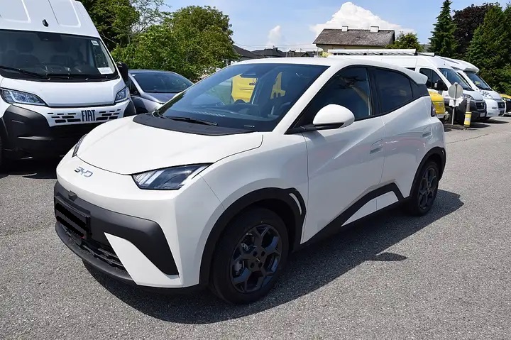BYD Dolphin Surf "Comfort"-showroom-element-1