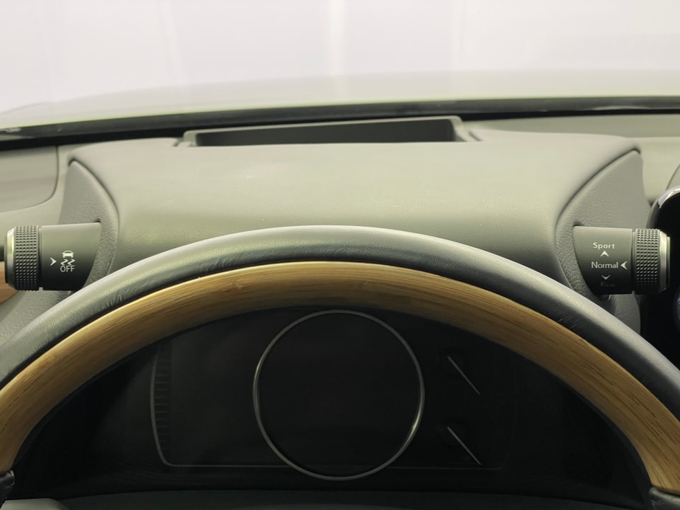 ES 300h Excellence Voll-Hybrid