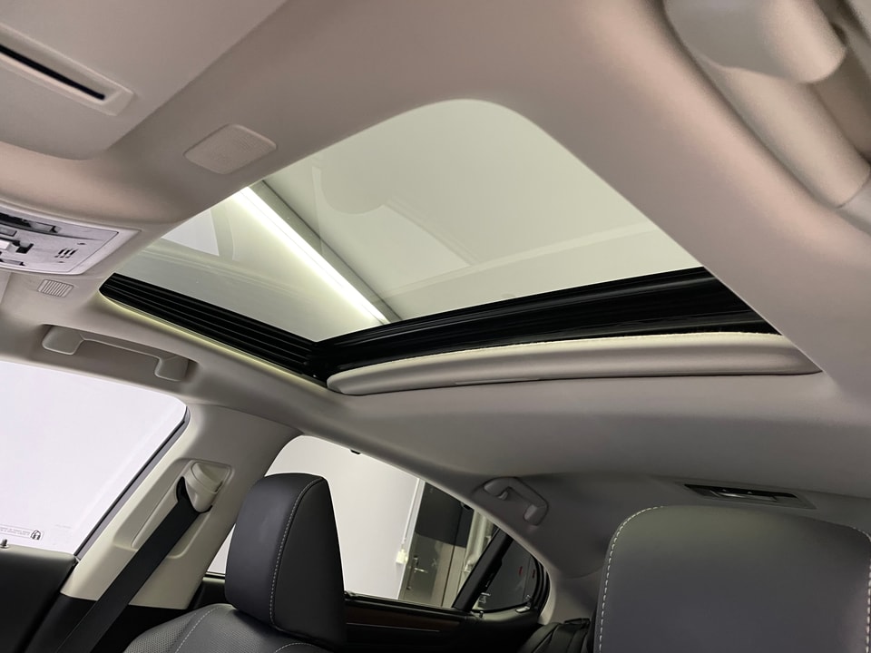 ES 300h Excellence Voll-Hybrid