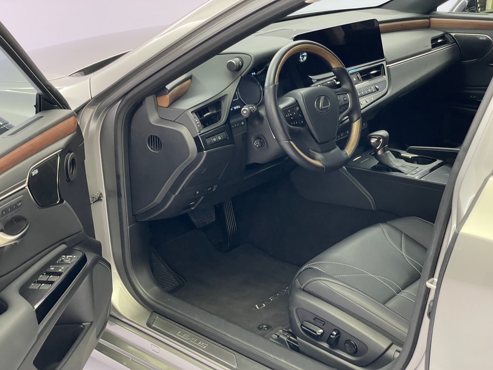 ES 300h Excellence Voll-Hybrid