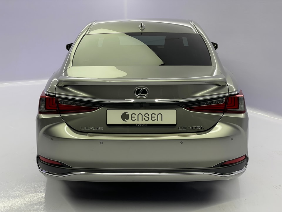ES 300h Excellence Voll-Hybrid