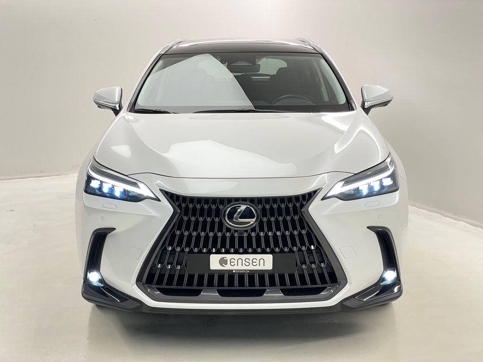 NX 350h Excellence E-FOUR Voll-Hybrid