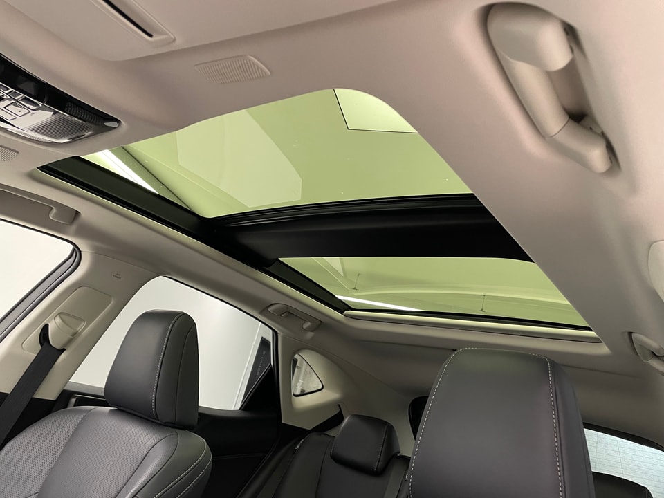 NX 350h Excellence E-FOUR Voll-Hybrid