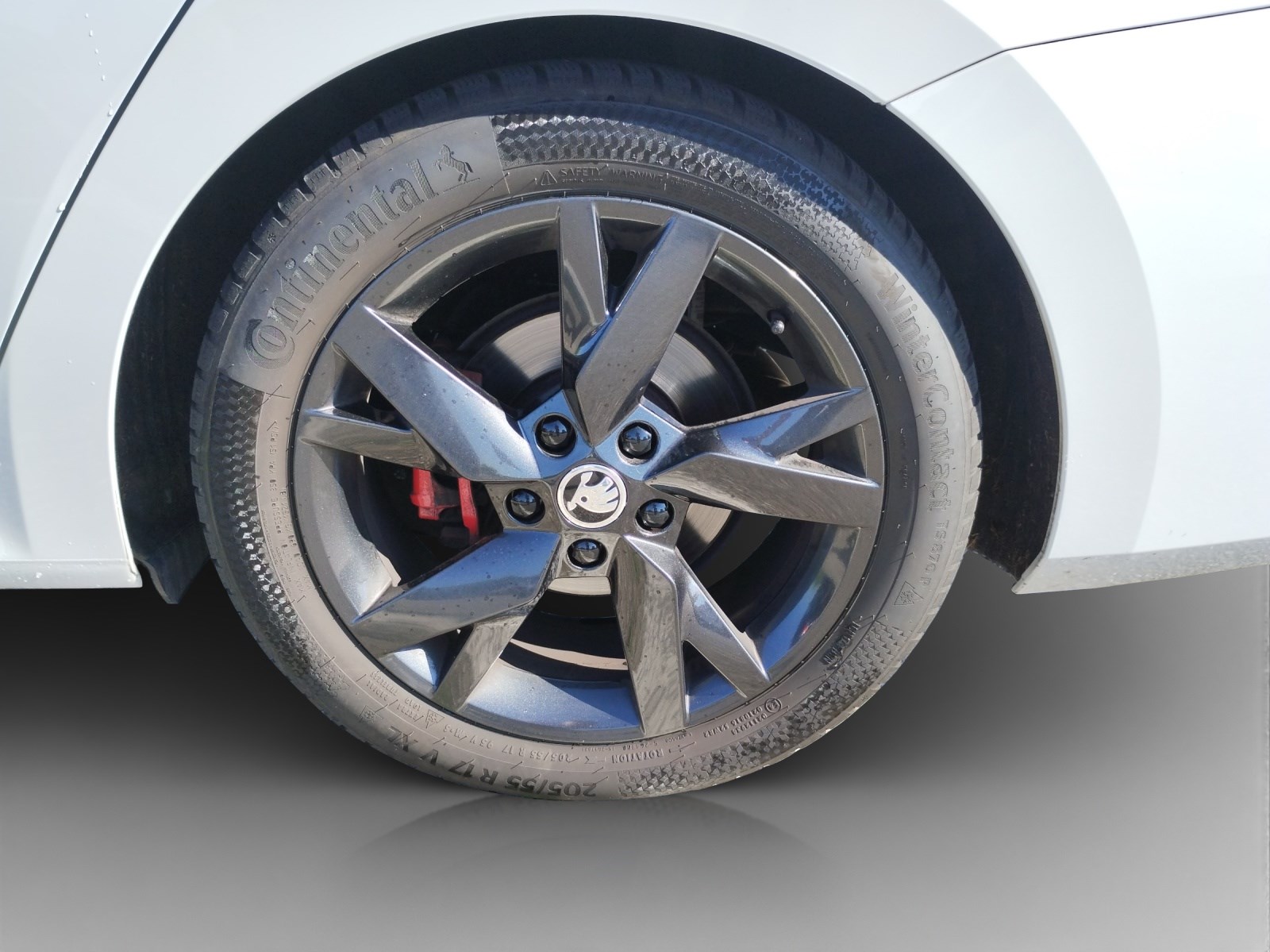SKODA Octavia Combi 2.0 TDI DSG RS 4x4-image-12