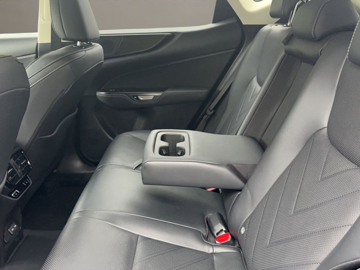 LEXUS NX 450h+ excellence AWD-image-8
