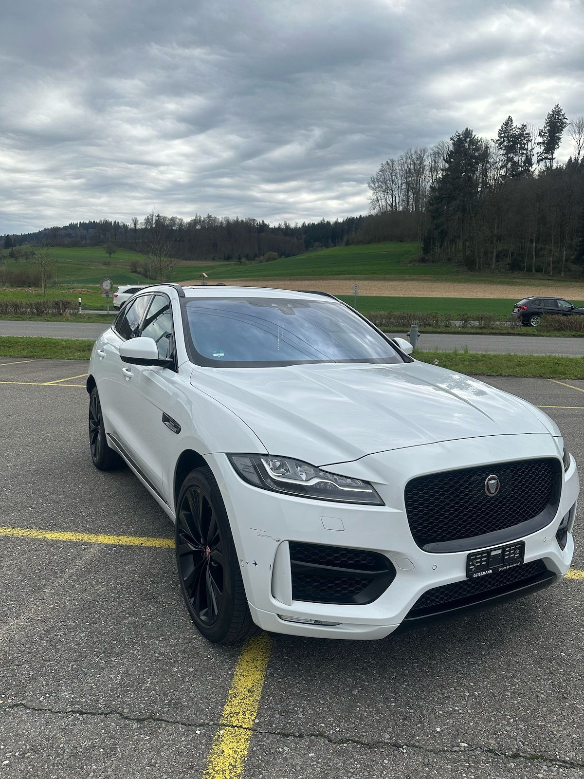 JAGUAR F-Pace 3.0 V6 D R-Sport AWD-showroom-element-1