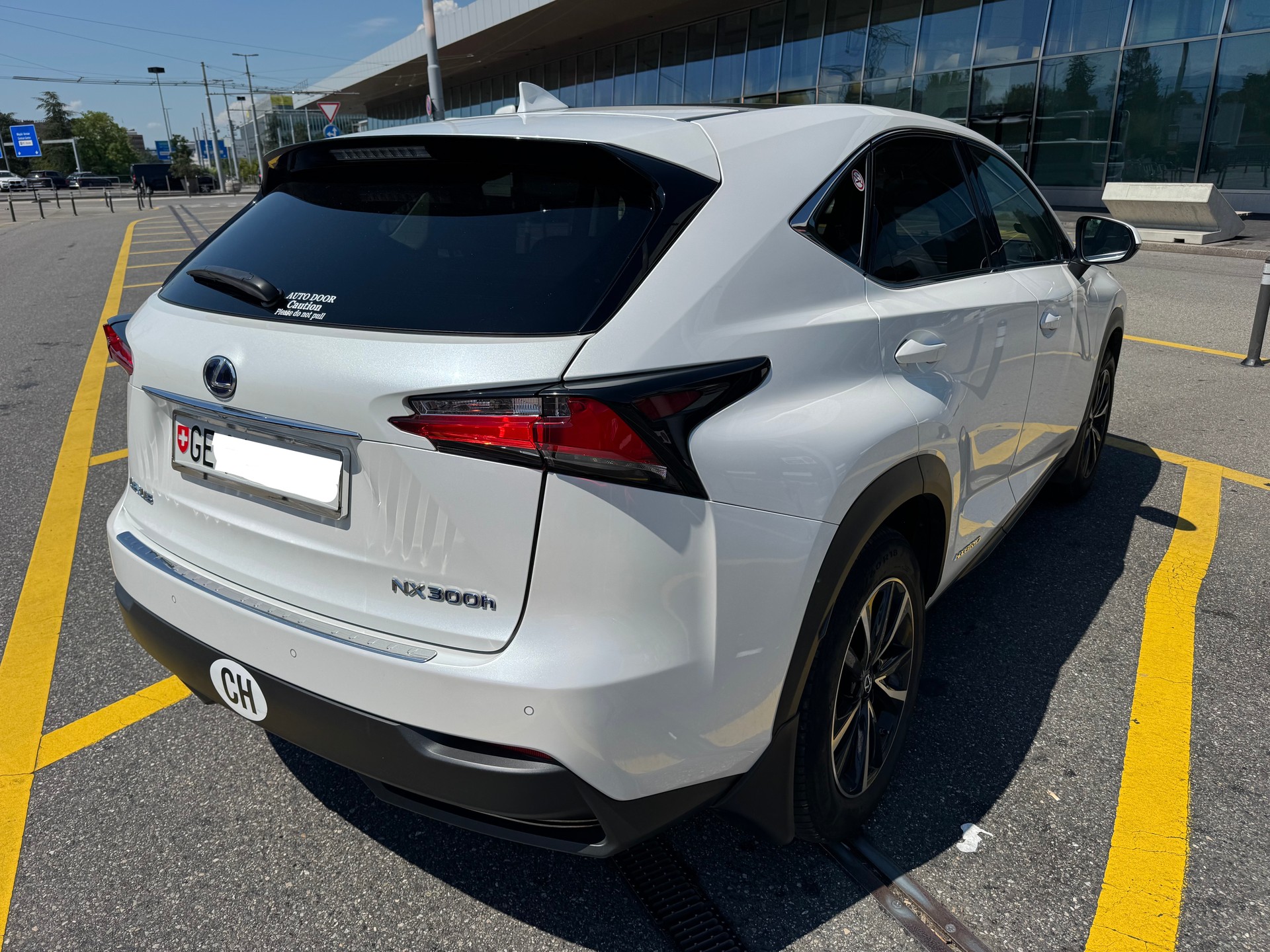 LEXUS NX 300h excellence E-Four Automatic-image-2
