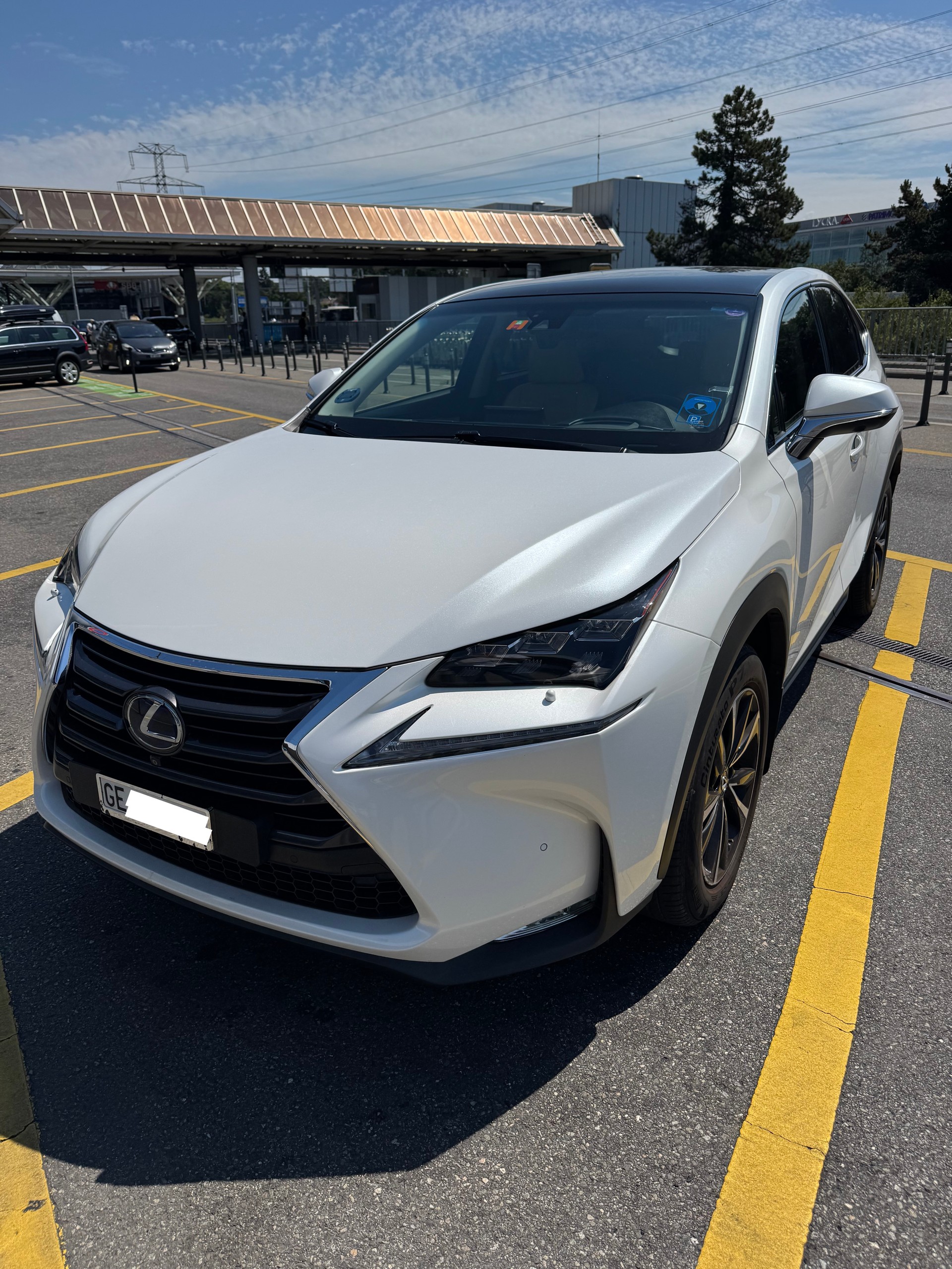 LEXUS NX 300h excellence E-Four Automatic-image-0