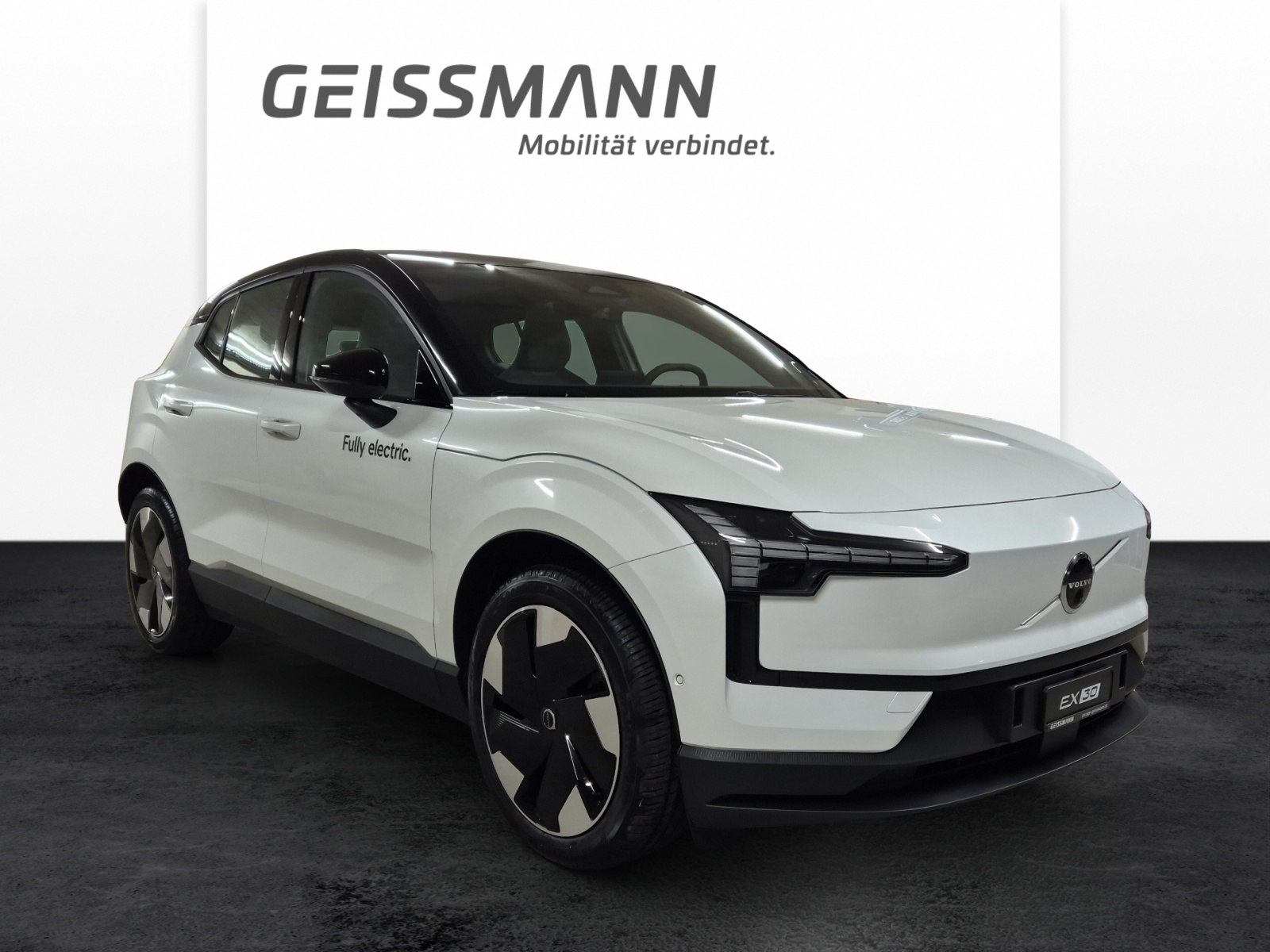 VOLVO EX 30 E60 Twin Ultra Performance AWD-showroom-element-1