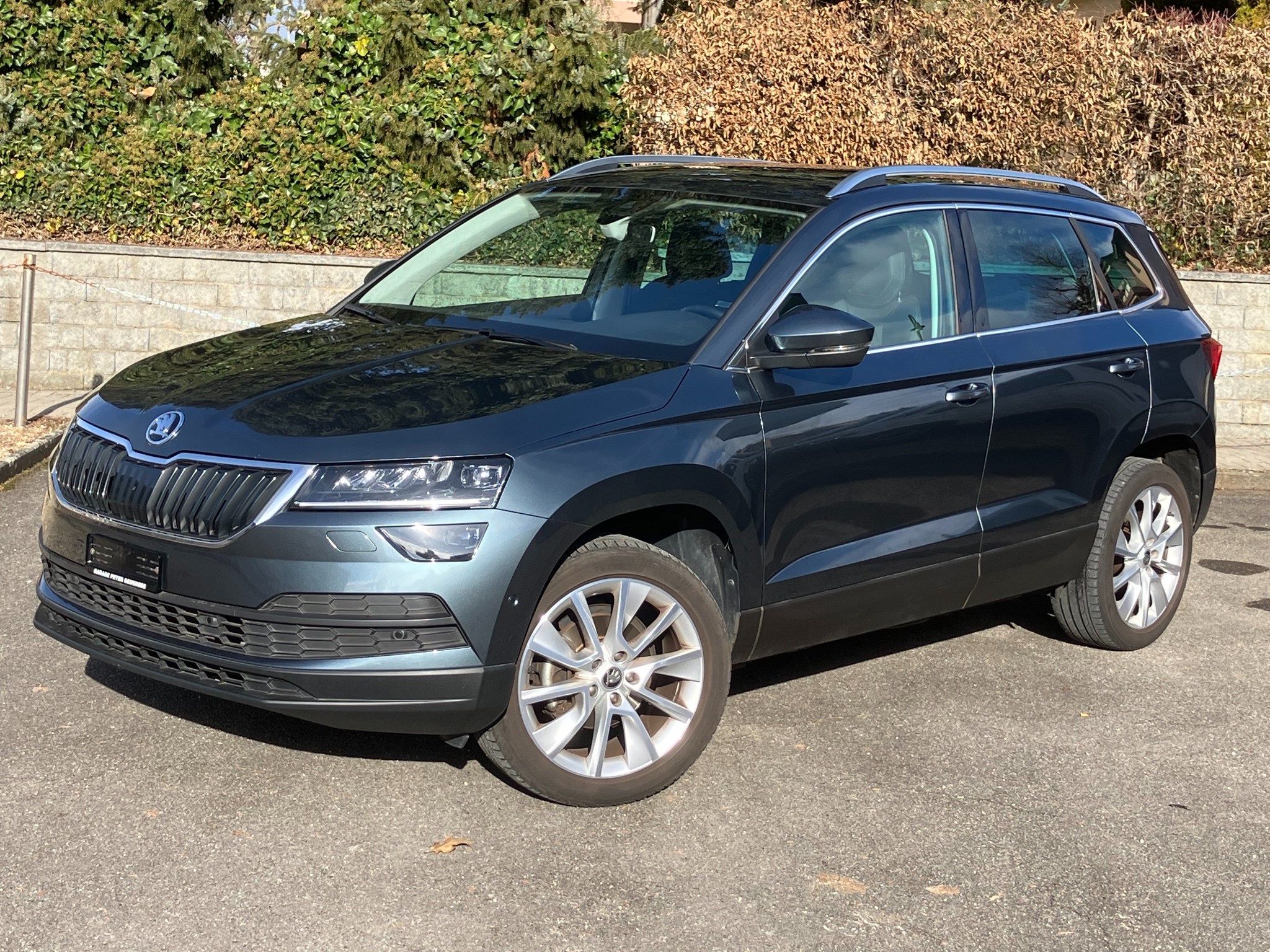 SKODA Karoq (SUV / Gelndewagen)