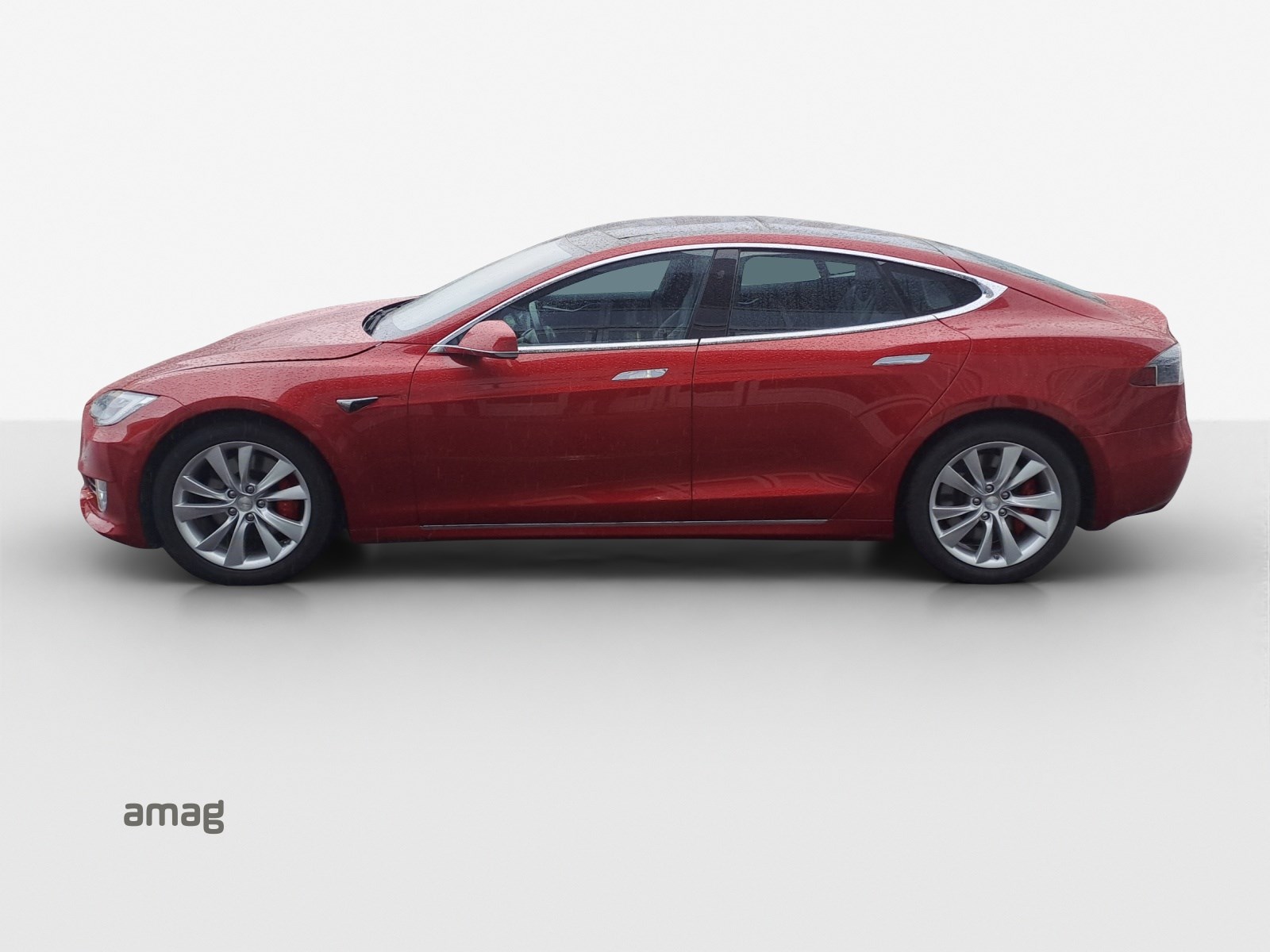 TESLA Model S 100 D Performance-showroom-element-1