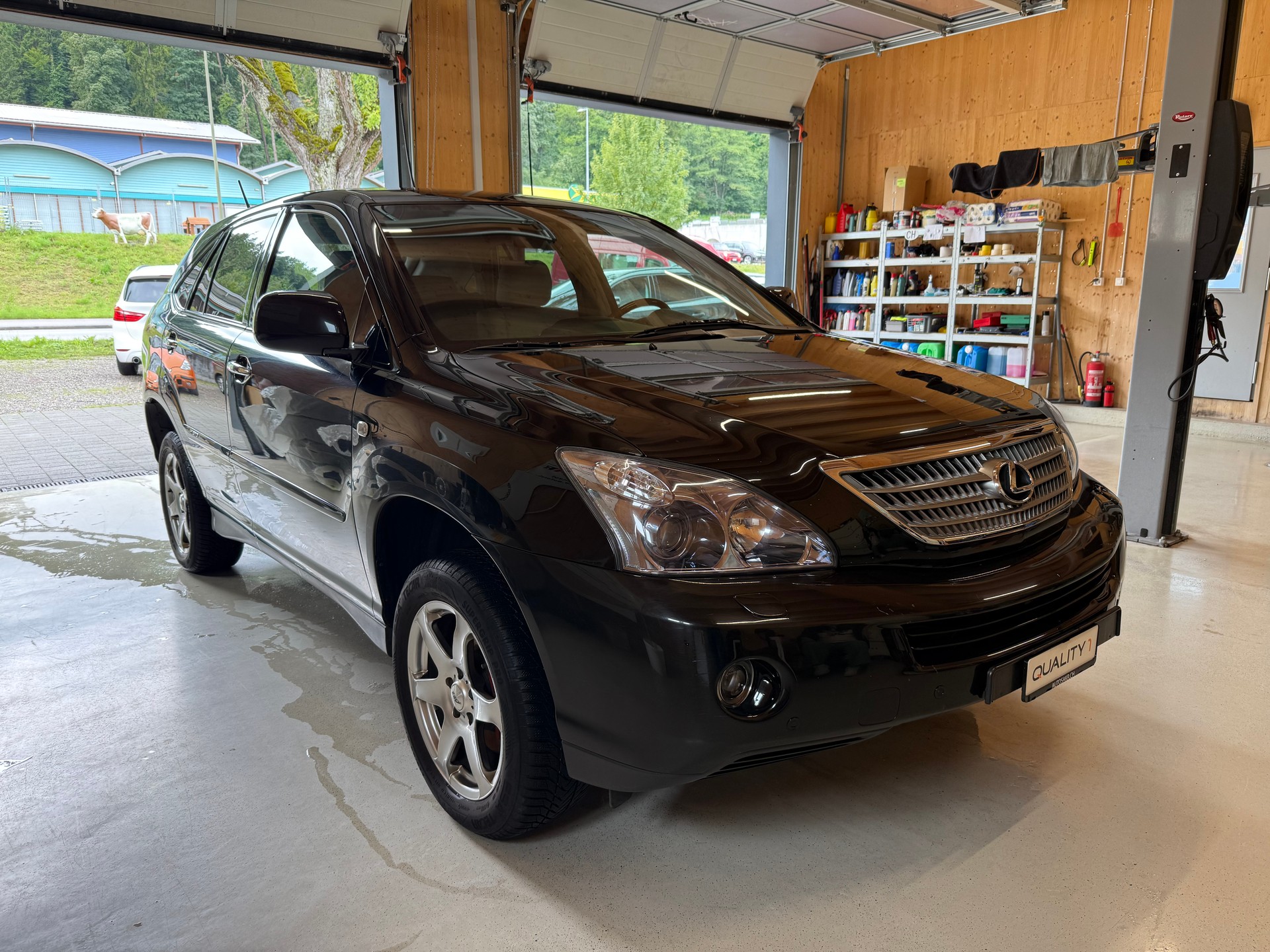 LEXUS RX 400h Edition AWD Automatic-showroom-element-2