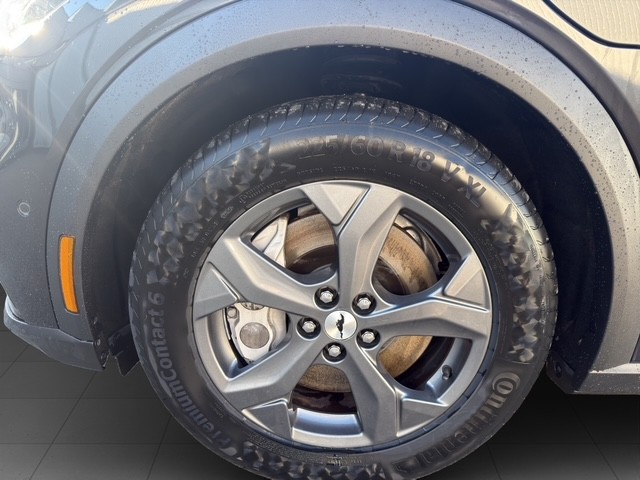 Image FORD MUSTANG-MACH-E Mustang MACH-E RWD 91 kWh