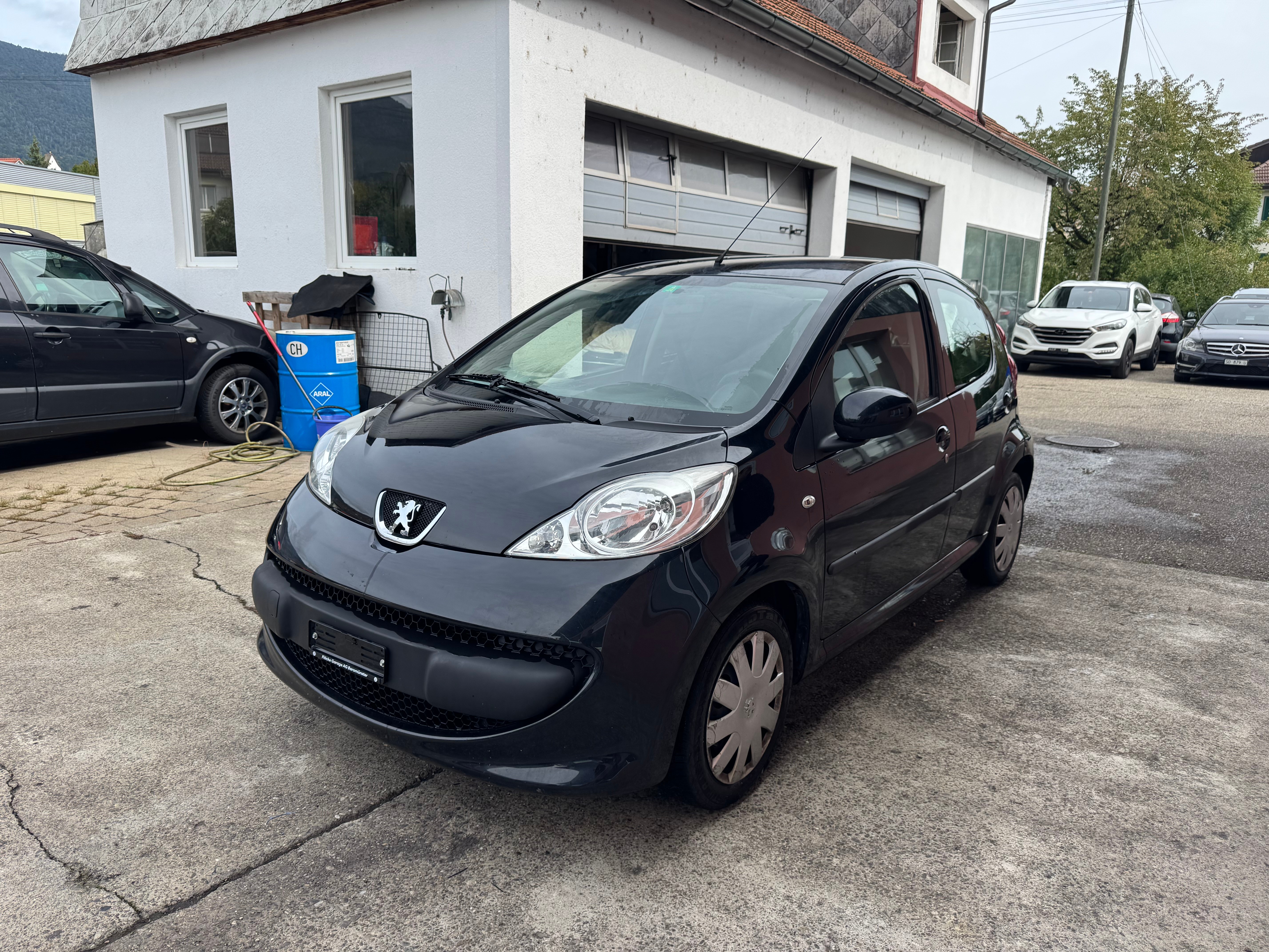 よち THE ヘチ セレクション ZX T258 | イシグロ公式オンラインショップ