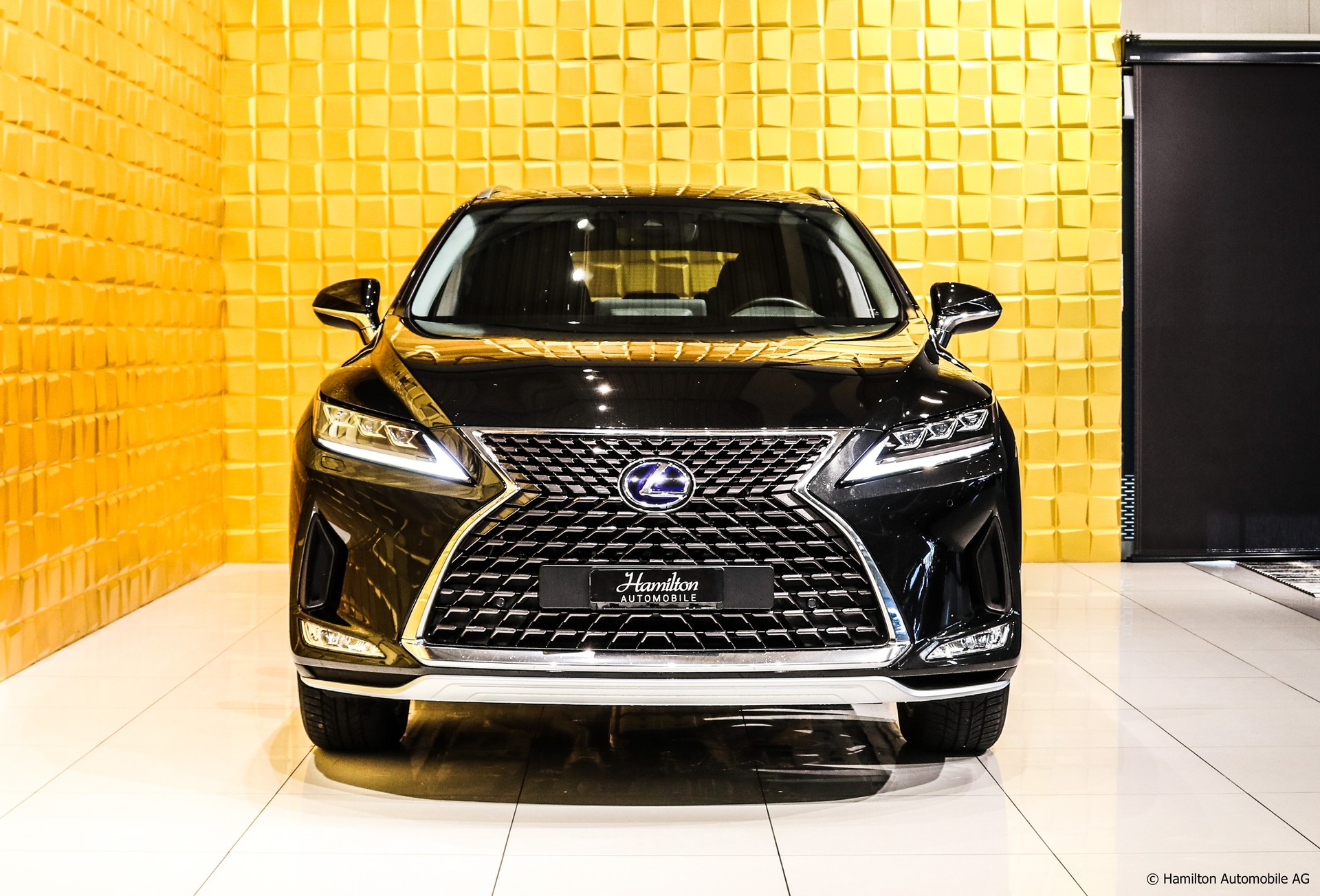LEXUS RX 450h comfort AWD CVT-showroom-element-2