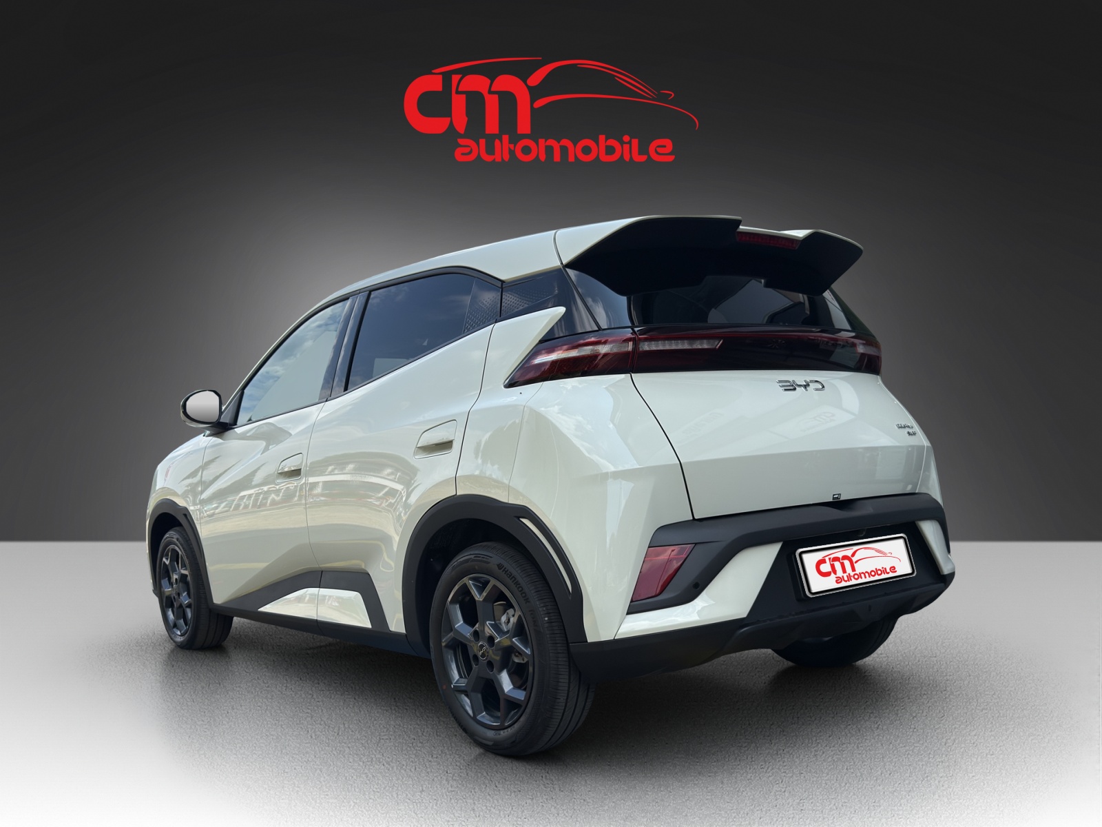 BYD Dolphin Surf 43 kWh Comfort-showroom-element-1