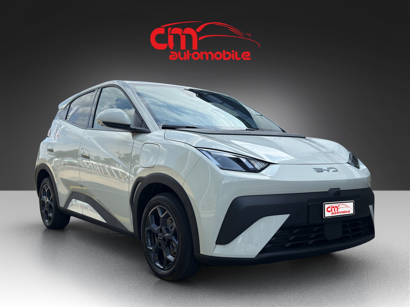 BYD Dolphin Surf 43 kWh Comfort-showroom-element-3