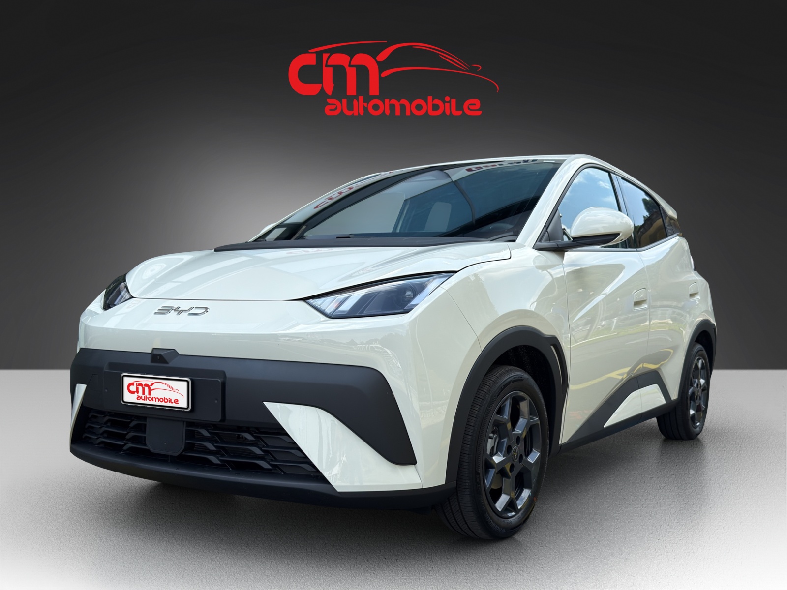BYD Dolphin Surf 43 kWh Comfort