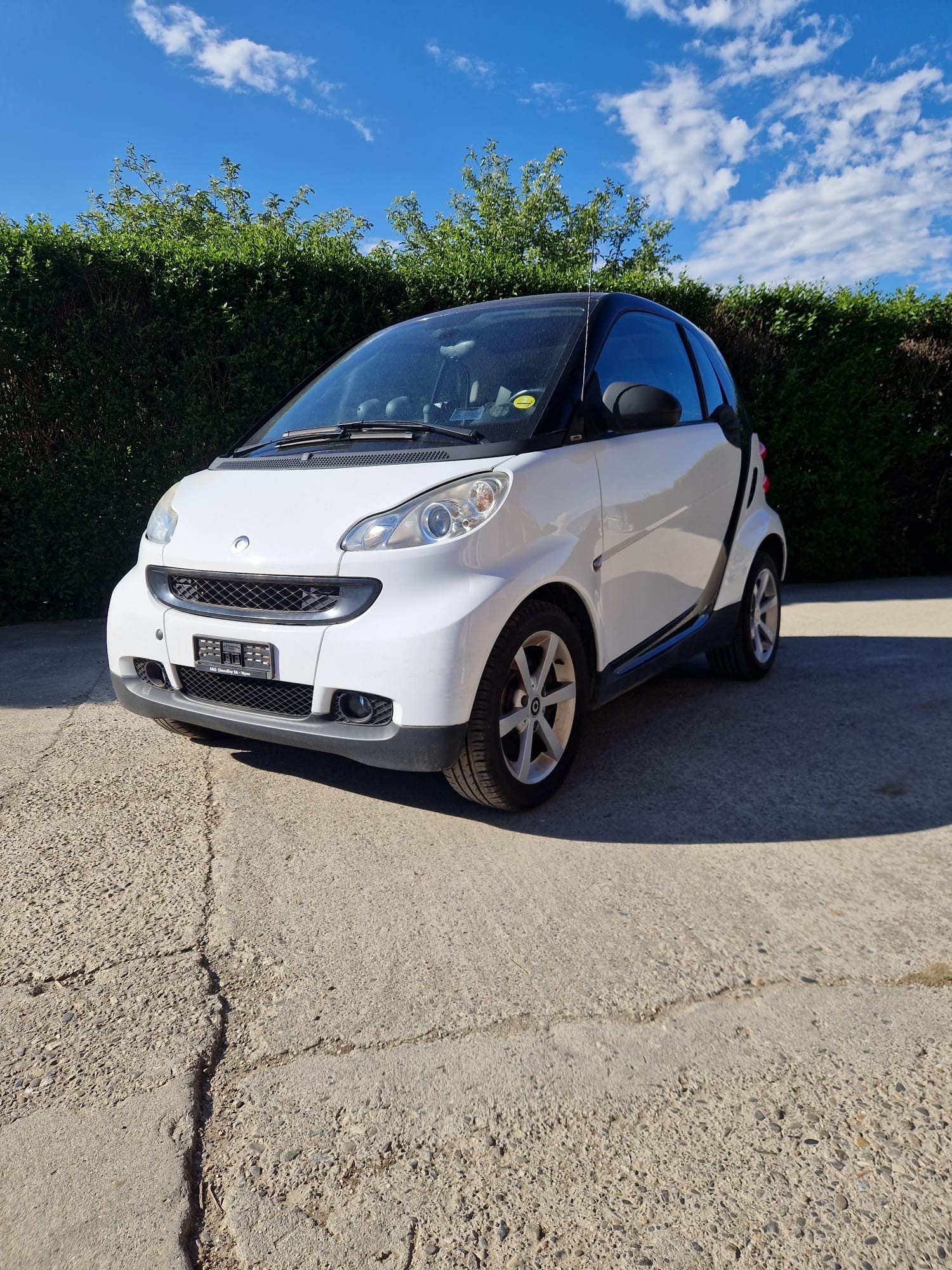 SMART fortwo pulse softouch Kaufen