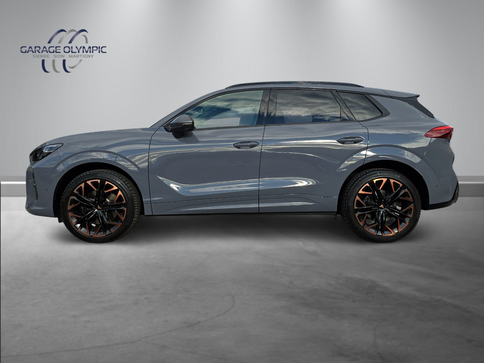 CUPRA Terramar 2.0 TSI DSG 4Drive VZ-showroom-element-1