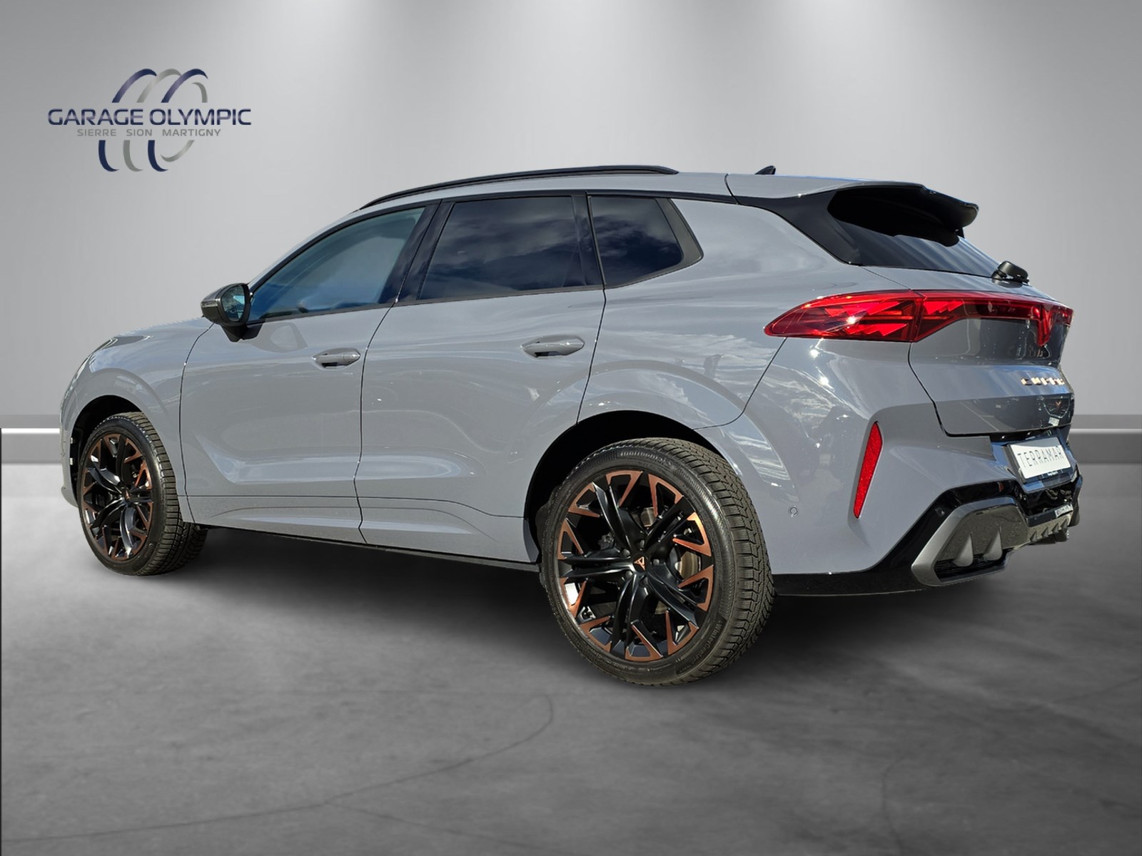 CUPRA Terramar 2.0 TSI DSG 4Drive VZ-showroom-element-3