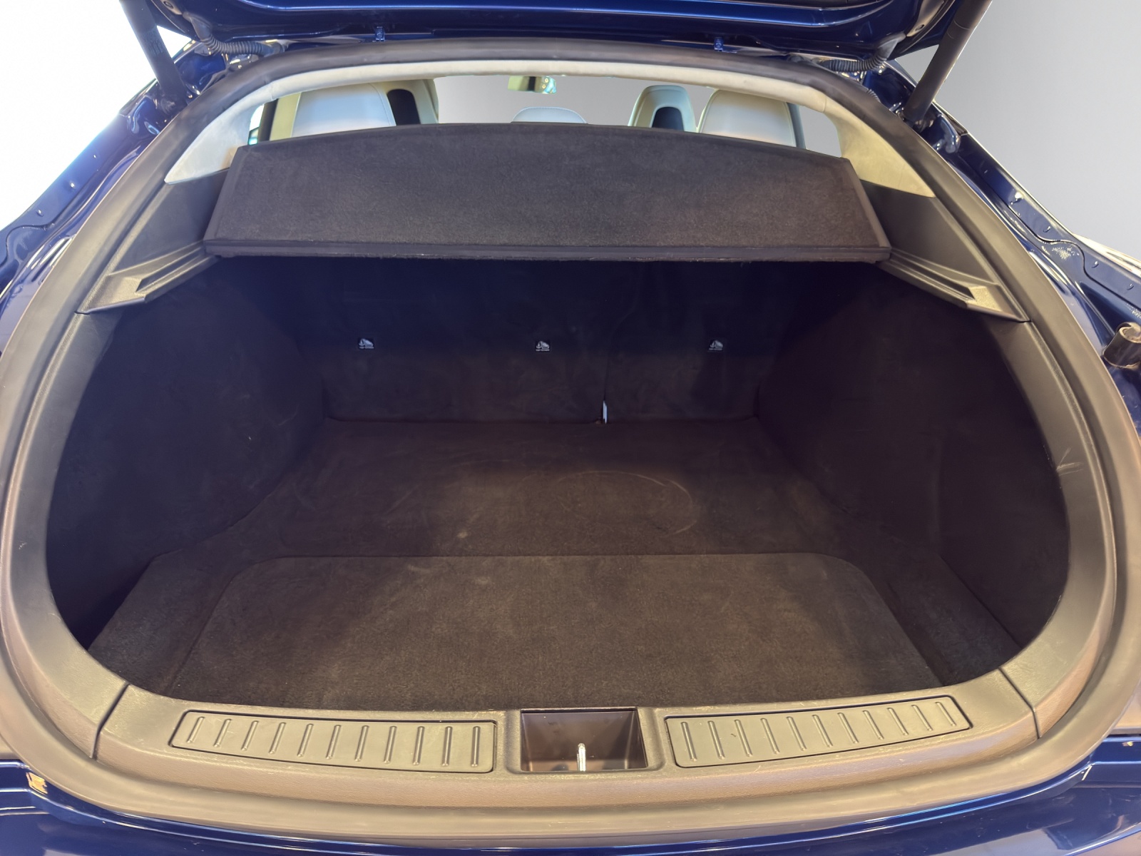 TESLA Model S 100 D-image-5
