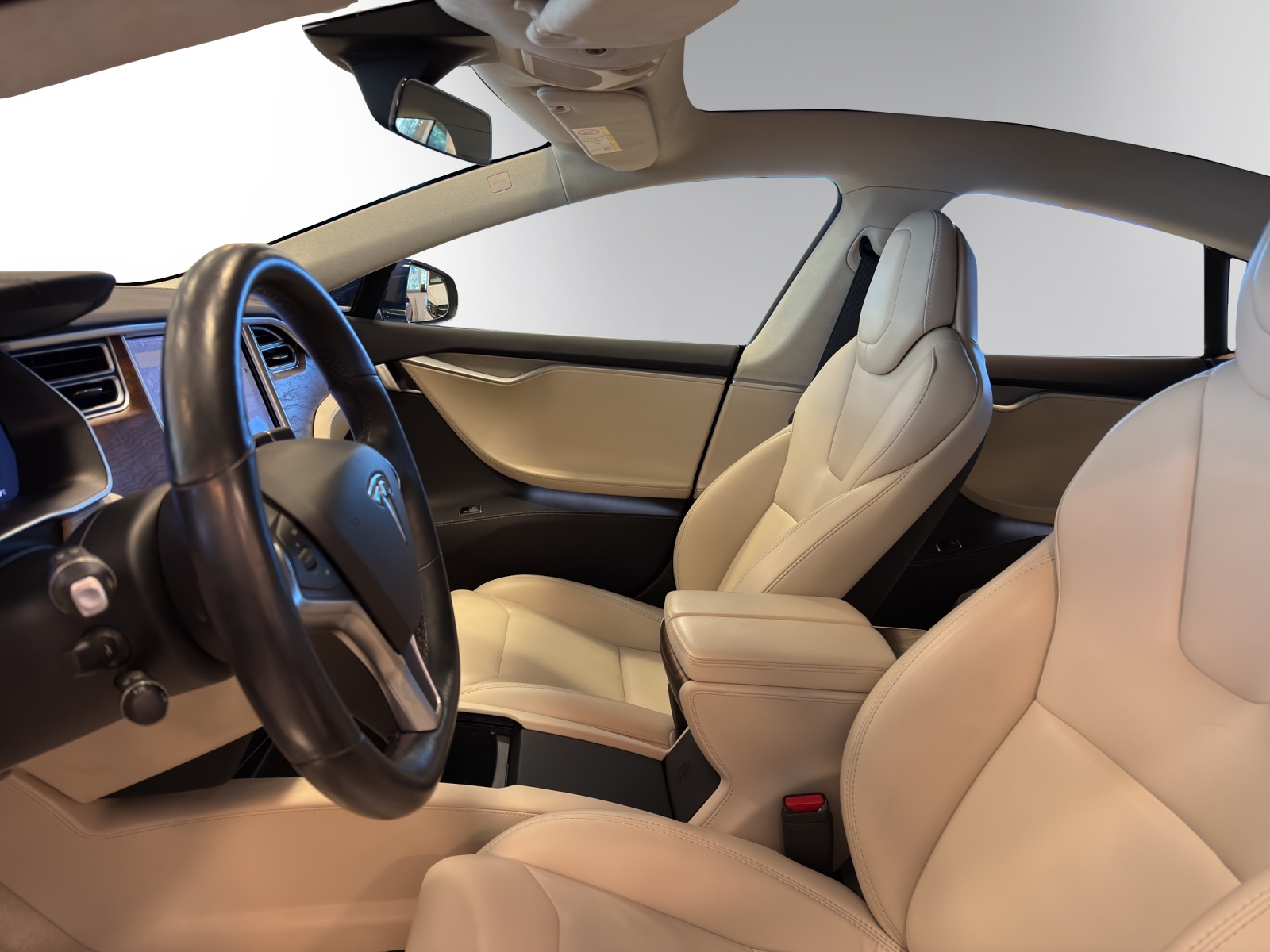 TESLA Model S 100 D-image-7