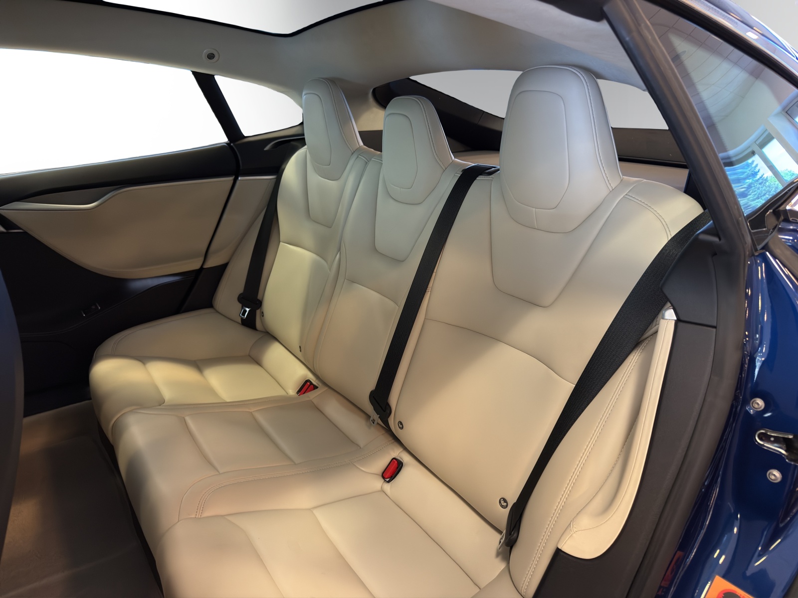 TESLA Model S 100 D-image-10