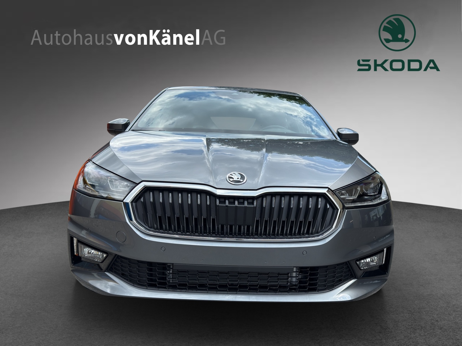 SKODA Fabia 1.0 TSI Dynamic DSG-showroom-element-3