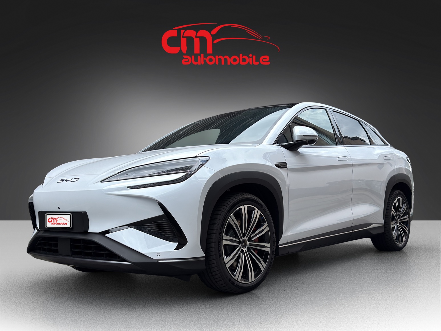 BYD Sealion 7 91,3 kWh Excellence AWD