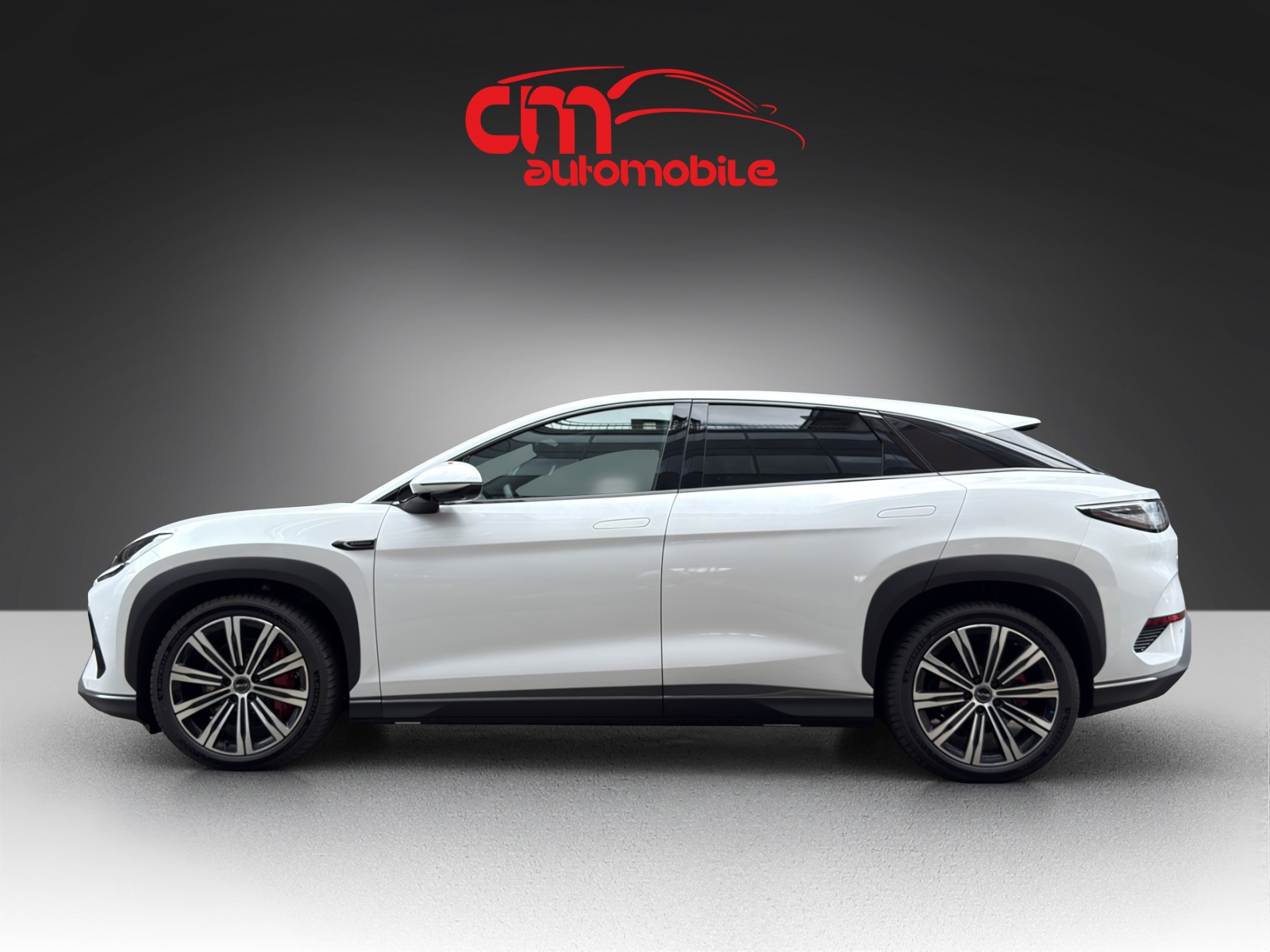 BYD Sealion 7 91,3 kWh Excellence AWD-showroom-element-1