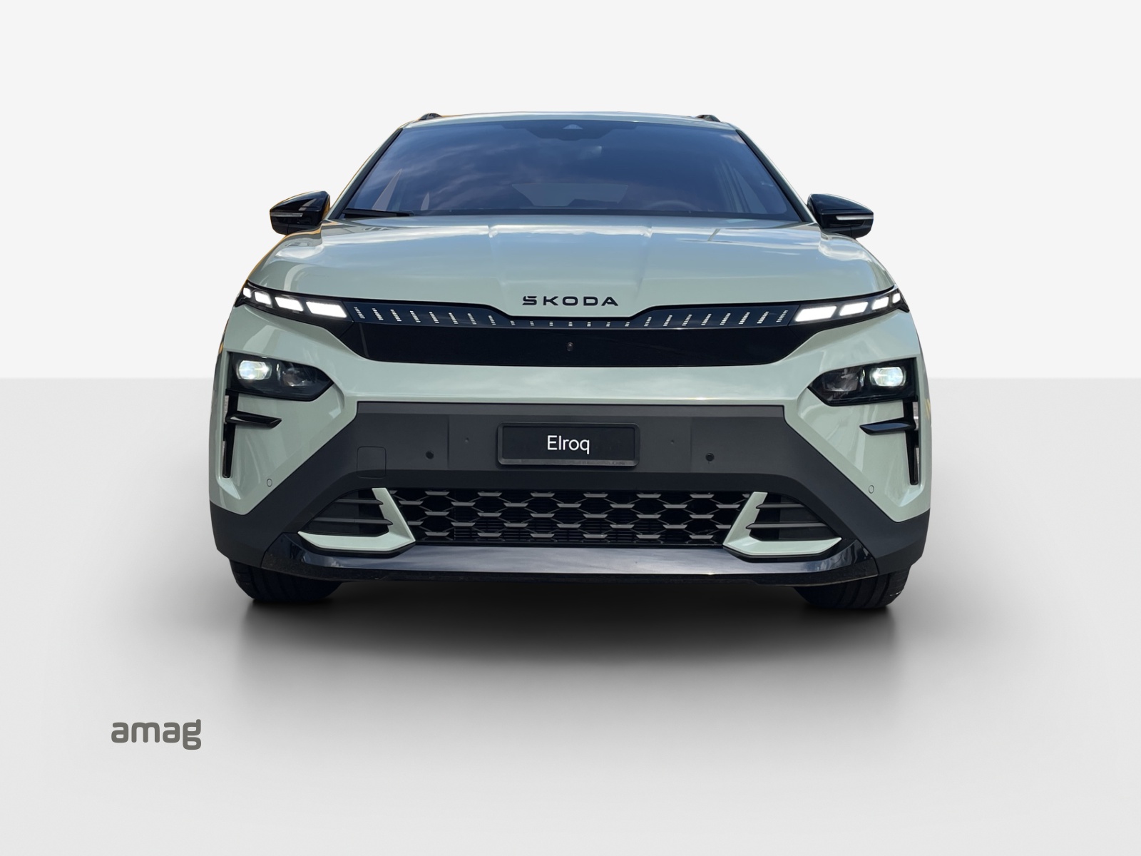 SKODA Elroq 85 RS-image-6