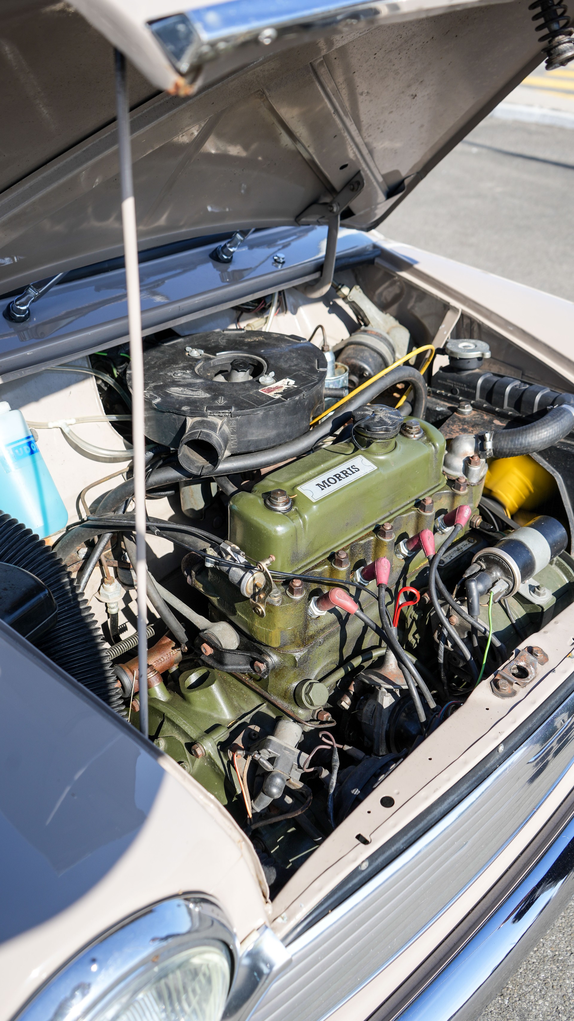 MORRIS Clubman Woody-image-18