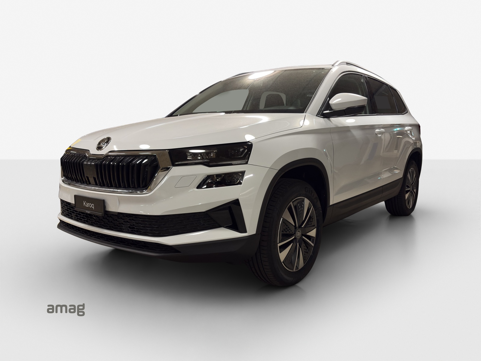 SKODA Karoq 2.0 TDI CR Dynamic 4x4 DSG