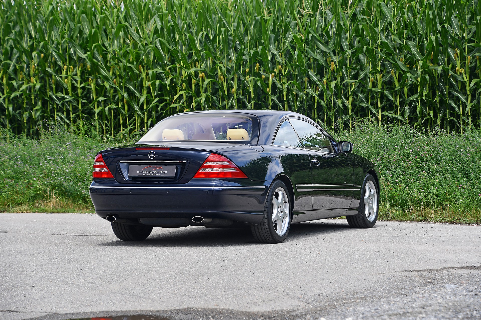 MERCEDES-BENZ CL 600 Automatic-image-12