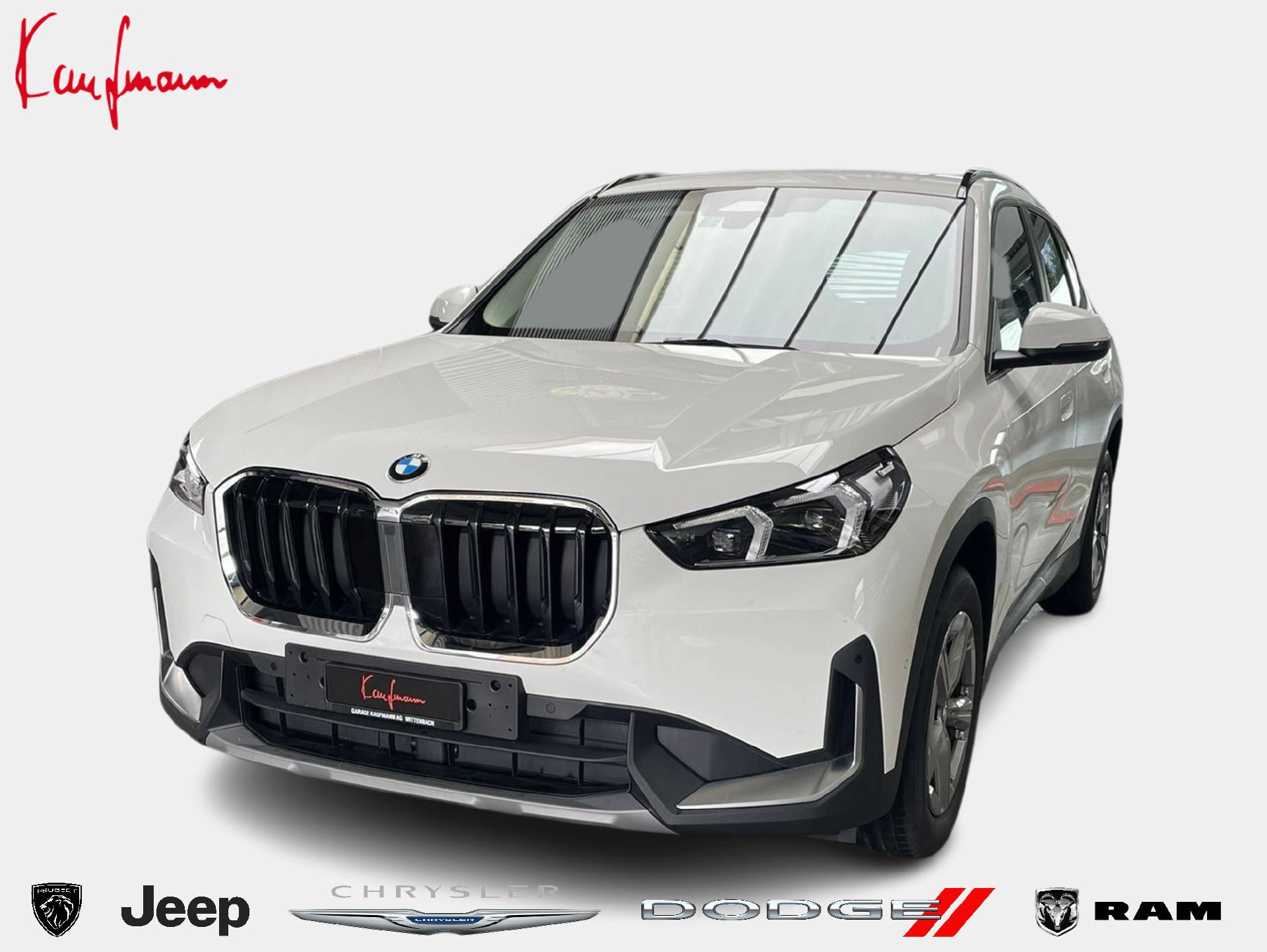 BMW X1 20d xDrive (SUV / Gelndewagen)