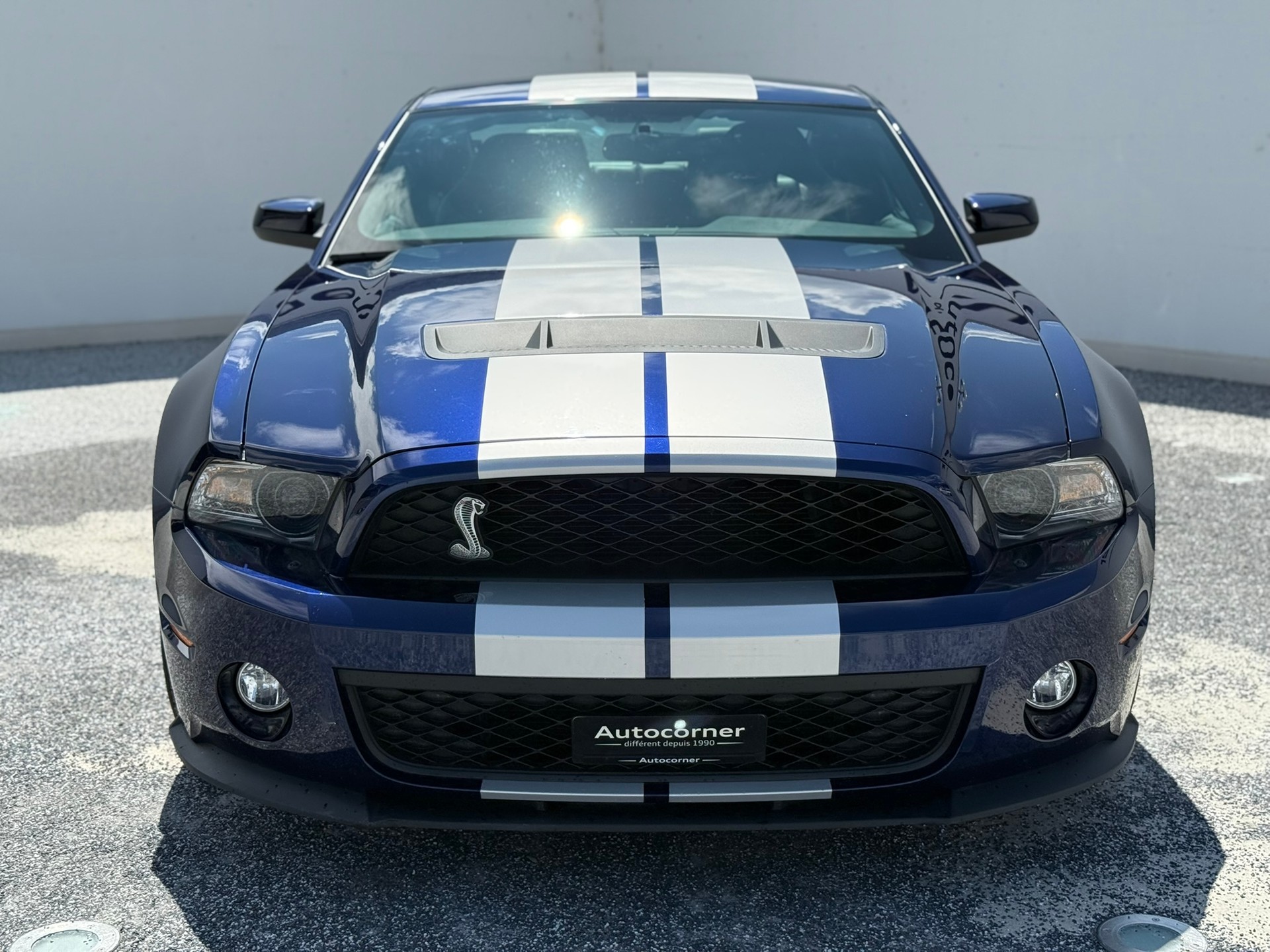 FORD Mustang Shelby GT500-showroom-element-1