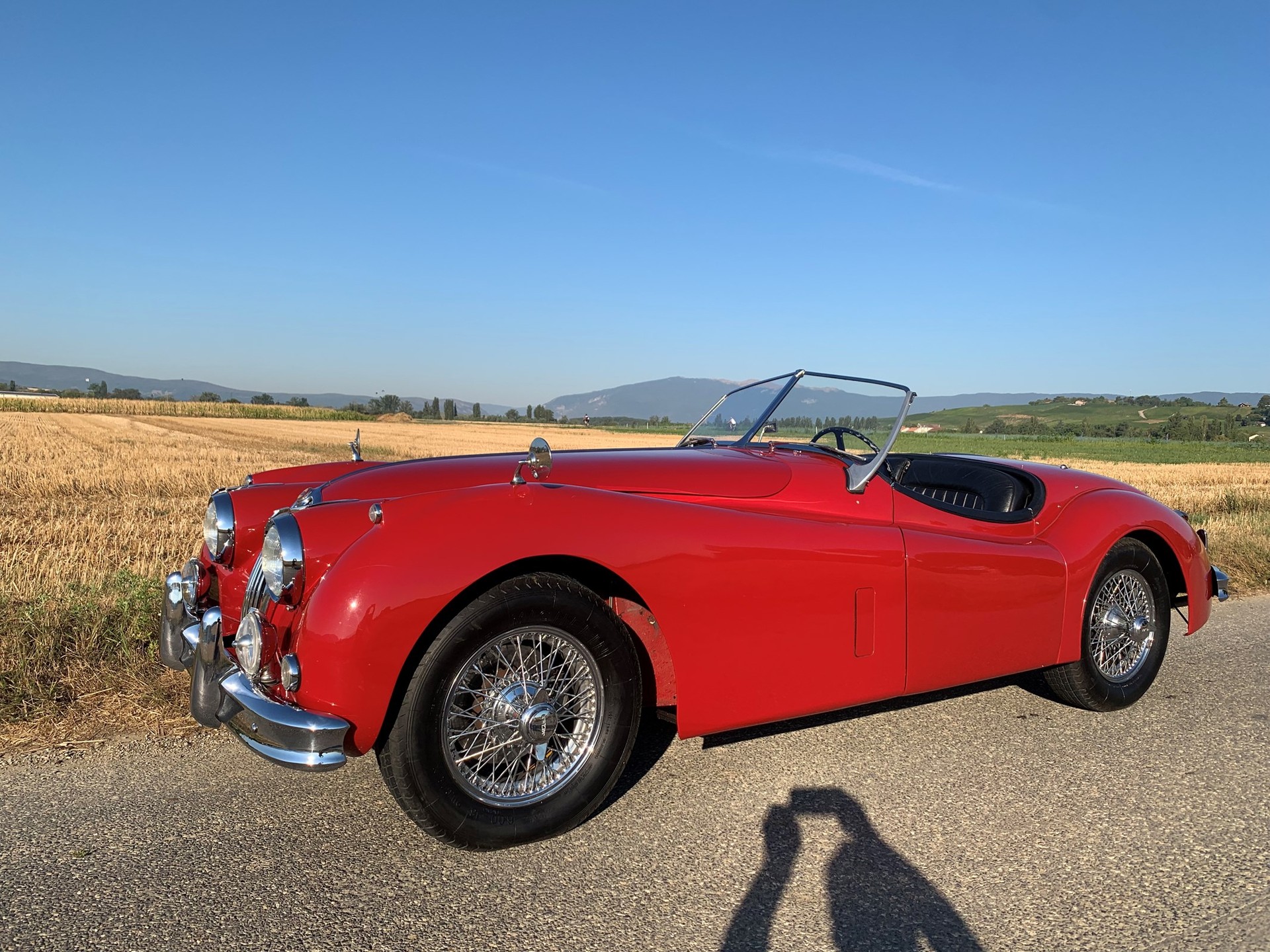 JAGUAR XK140 Roadster-image-4