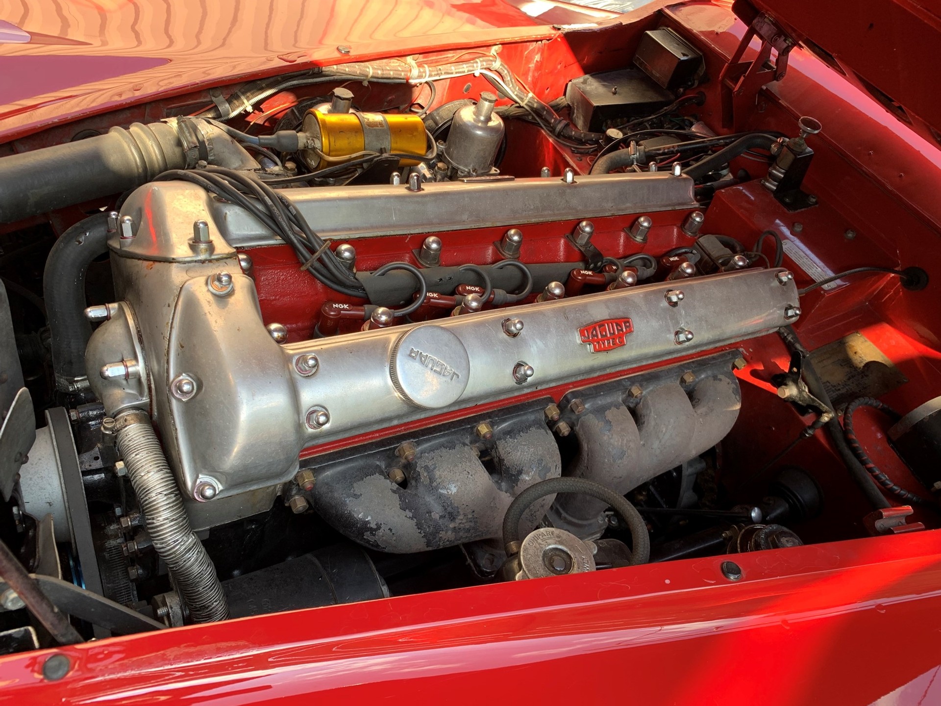JAGUAR XK140 Roadster-image-12