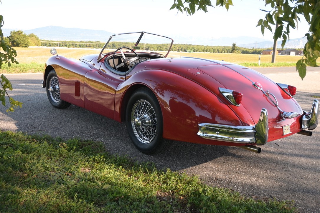 JAGUAR XK140 Roadster-image-2