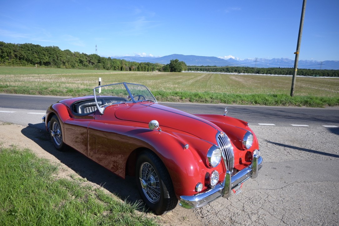 JAGUAR XK140 Roadster-image-1