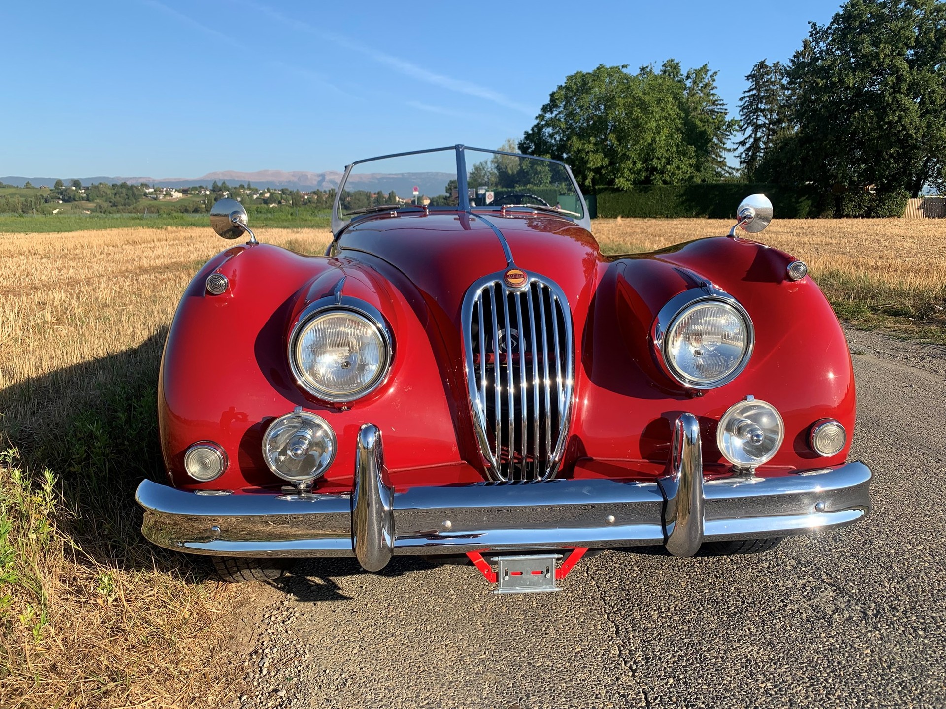 JAGUAR XK140 Roadster-image-3
